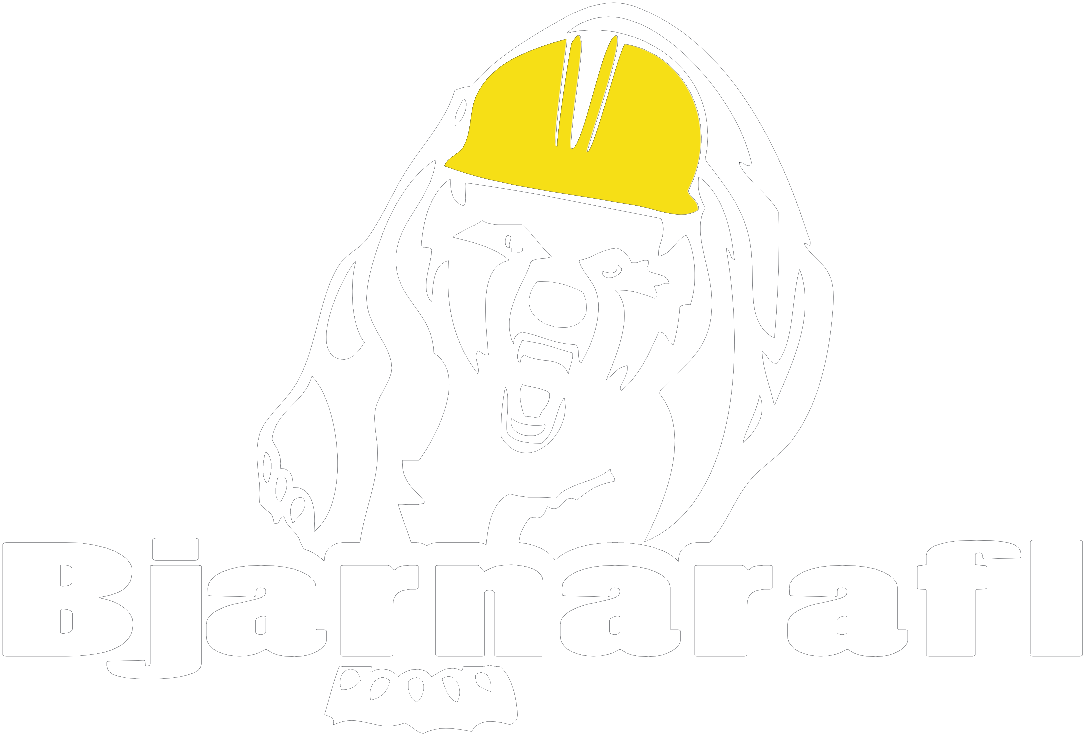 Bjarnarafl ehf